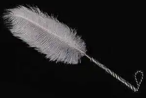 西檬之家s属性是什么?揭开字母圈中的支配与臣服关系 一