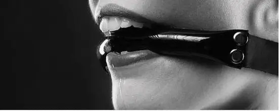 西檬之家k9犬系的探秘:2025年你需要知道的一切 一