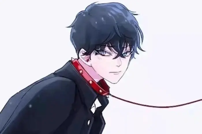 西檬之家k9犬系的真实含义是什么?解析犬系文化中的支配与臣服 一