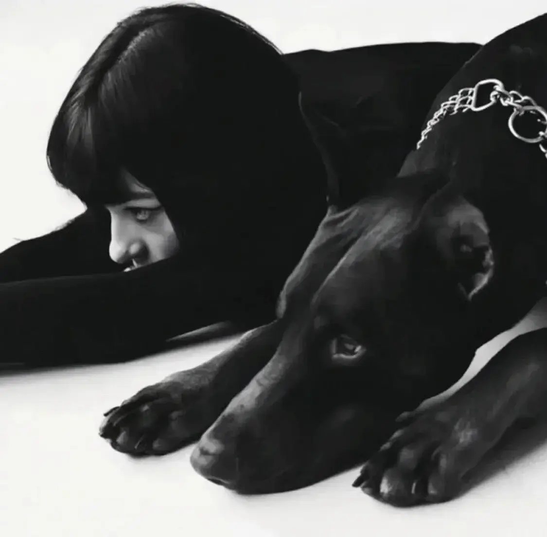 西檬之家k9犬系怎么玩?字母圈新人的角色体验指南 一