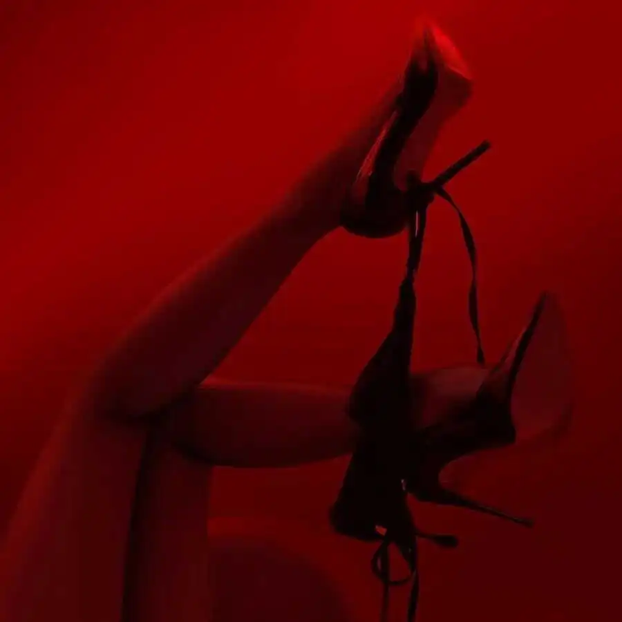 西檬之家TS是什么?字母圈新人必知的秘密与实践指南 一