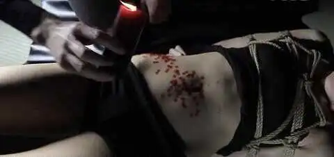 西檬之家k9犬系是什么?探索你的字母圈新属性 一