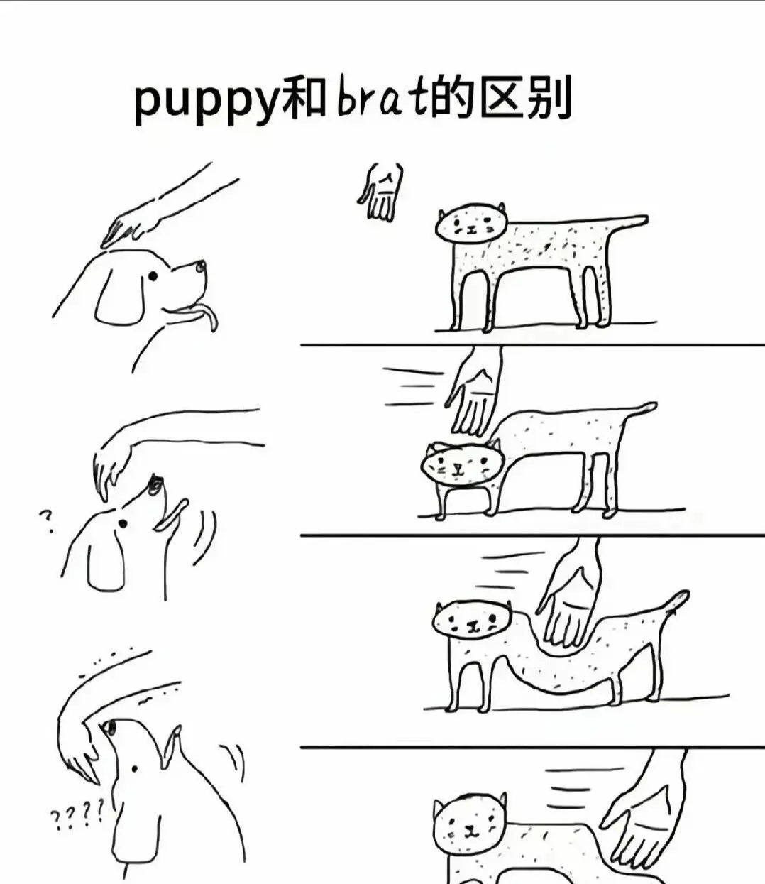 西檬之家k8猫系是什么?它如何影响你的字母圈体验? 一