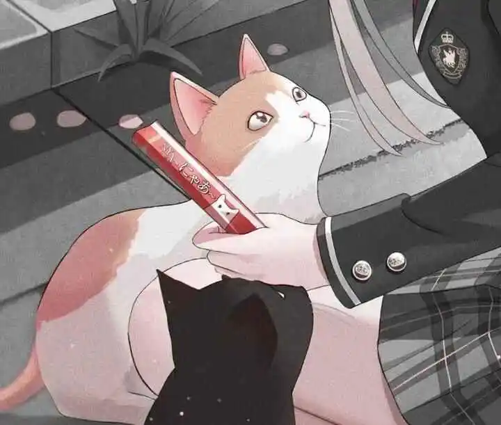 西檬之家2025年字母圈新趋势与探索 一