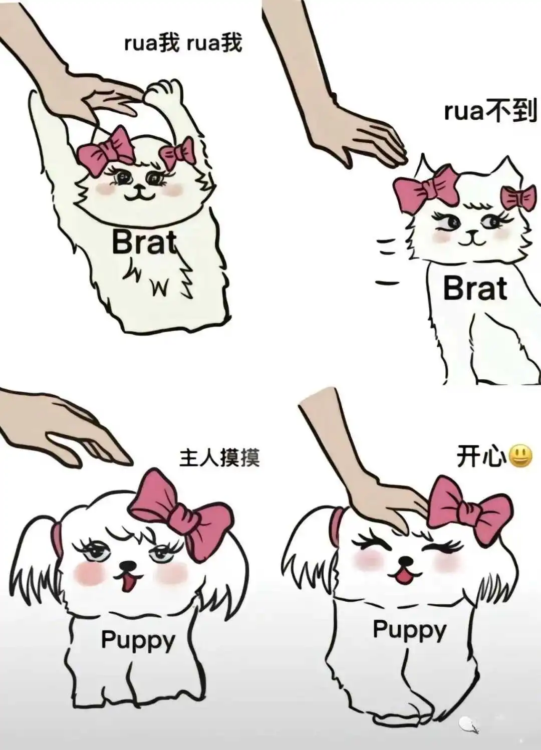 西檬之家k9犬系的魅力是什么?解锁你的字母圈新体验 一