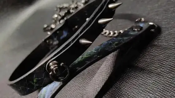 西檬之家字母圈的大圈是什么?探索背后的秘密与实践 一