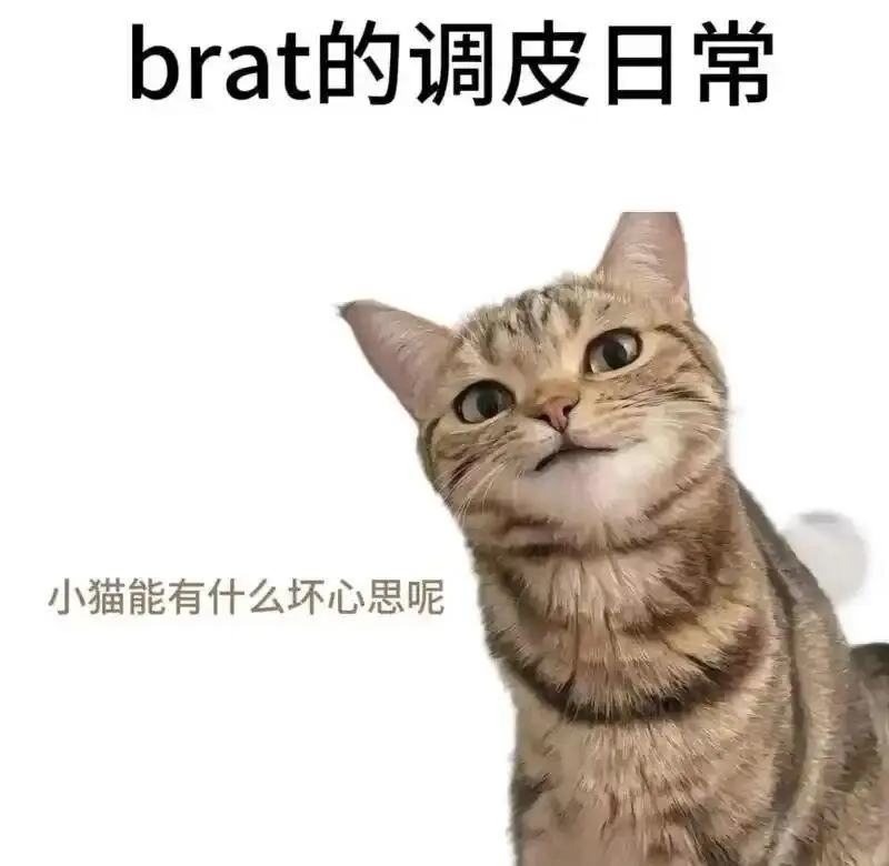 西檬之家Dirty Talk是什么?字母圈如何沟通情感与欲望? 一