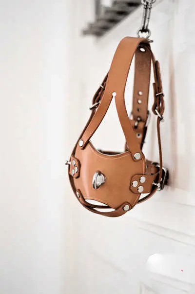 西檬之家BDSM中S倾向是什么意思? 一