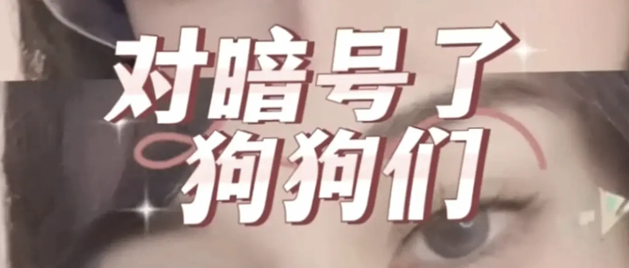 西檬之家k8猫系新人入圈指南 一