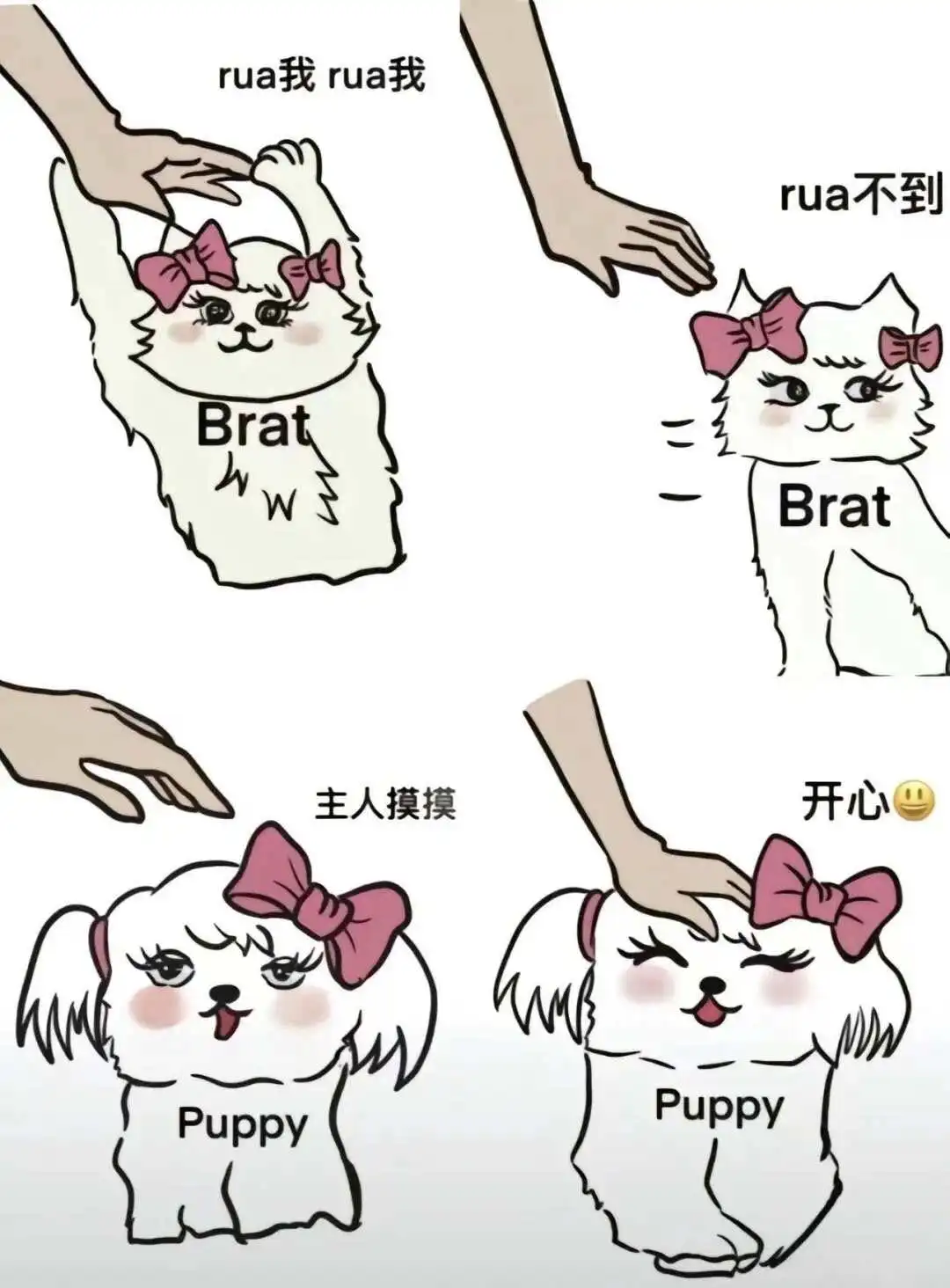 西檬之家大圈新手入圈指南 一