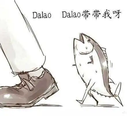 西檬之家k8猫系是什么?字母圈新人入圈 一