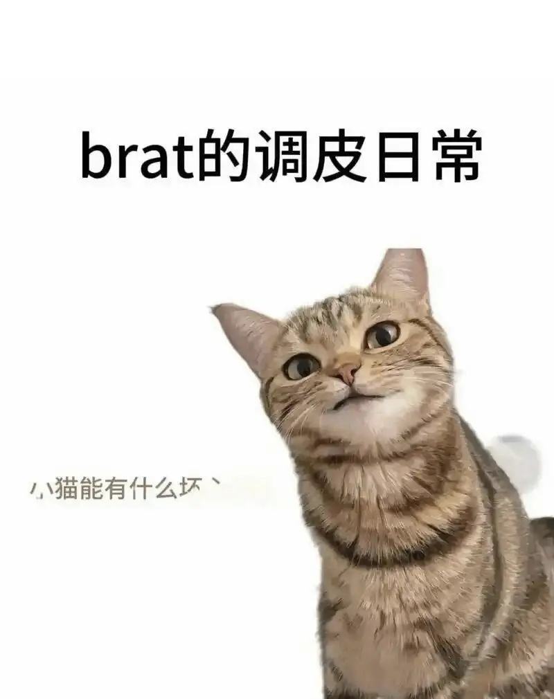 西檬之家字母圈新人如何正确入圈 一