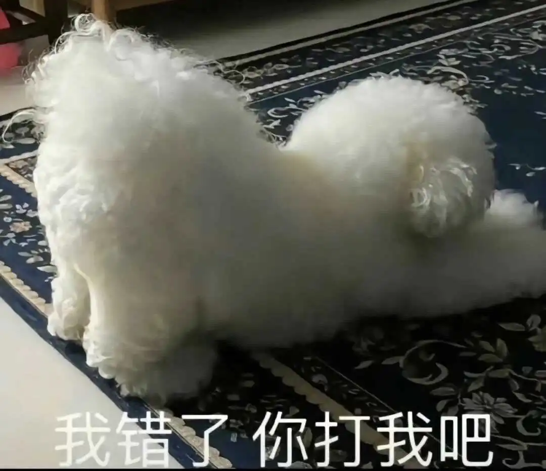 西檬之家字母圈里的s属性是什么? 一