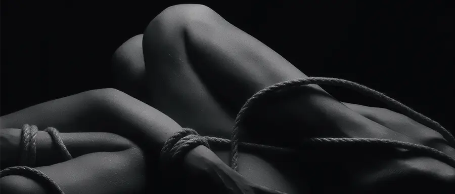 西檬之家BDSM新人指南:安全理智知情同意 一